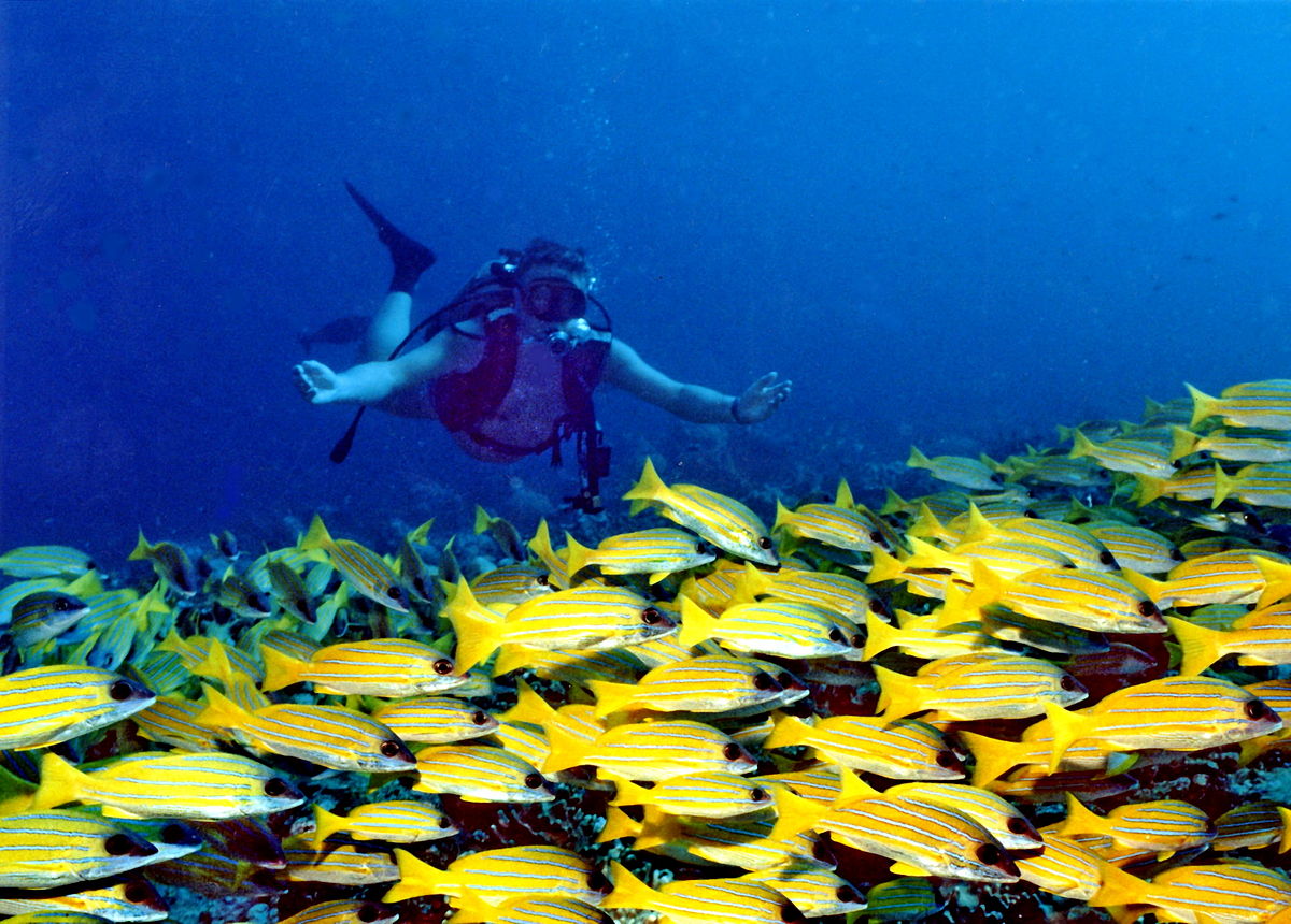 Baa Atoll, Maldives