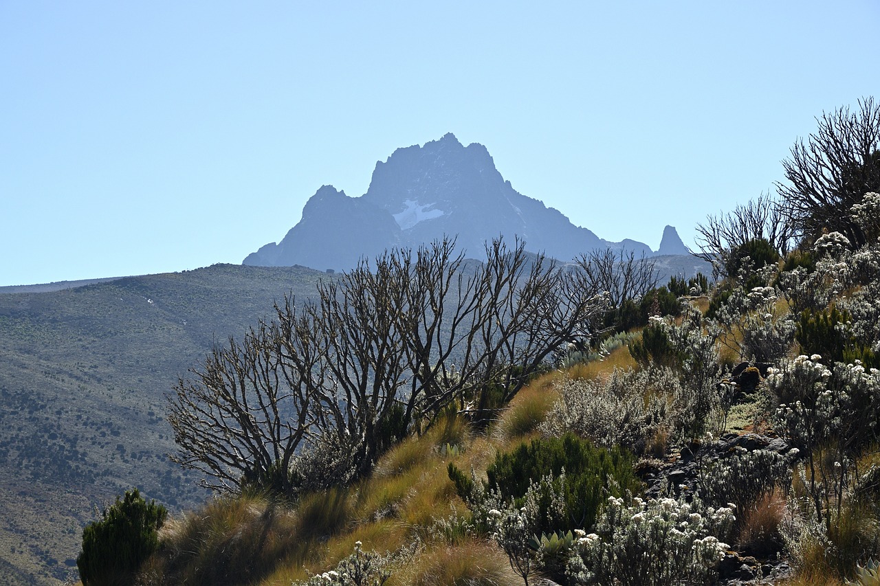 Mount Kenya