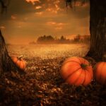 Best destinations for a spooky Halloween in 2024