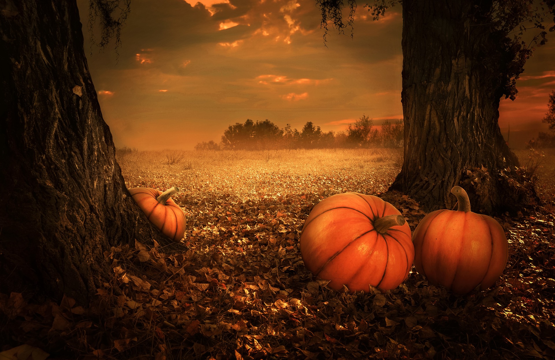 Best destinations for a spooky Halloween in 2024