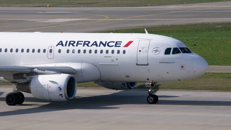 Air France - Paris' Charles de Gaulle Airport closed its runways to search for a missing dog