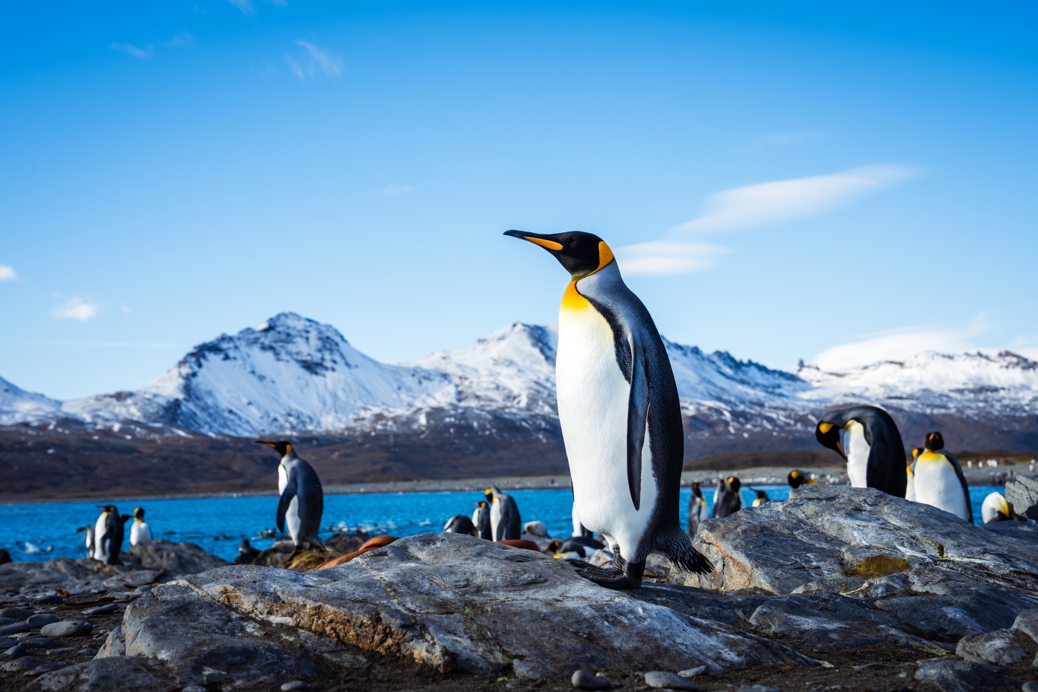 Aurora Expeditions unveils new Antarctic voyages