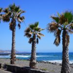 Los Cristianos beach in Tenerife where protestors painted graffiti on sunbeds