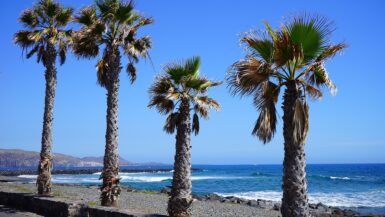 Los Cristianos beach in Tenerife where protestors painted graffiti on sunbeds