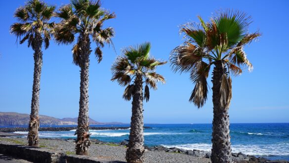 Los Cristianos beach in Tenerife where protestors painted graffiti on sunbeds