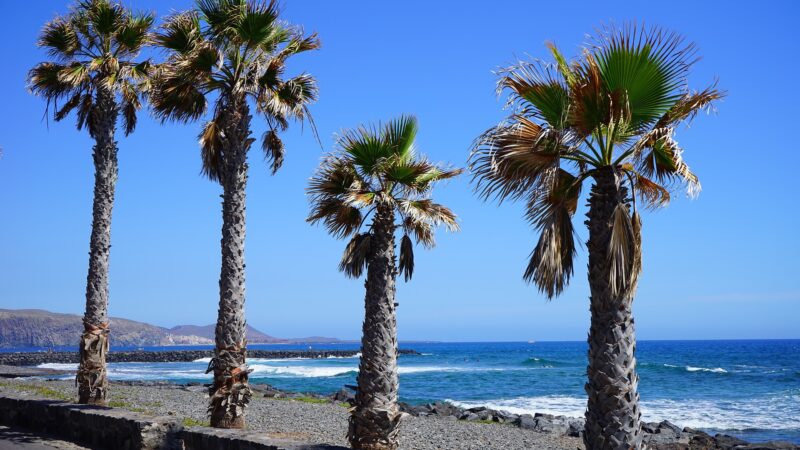 Los Cristianos beach in Tenerife where protestors painted graffiti on sunbeds