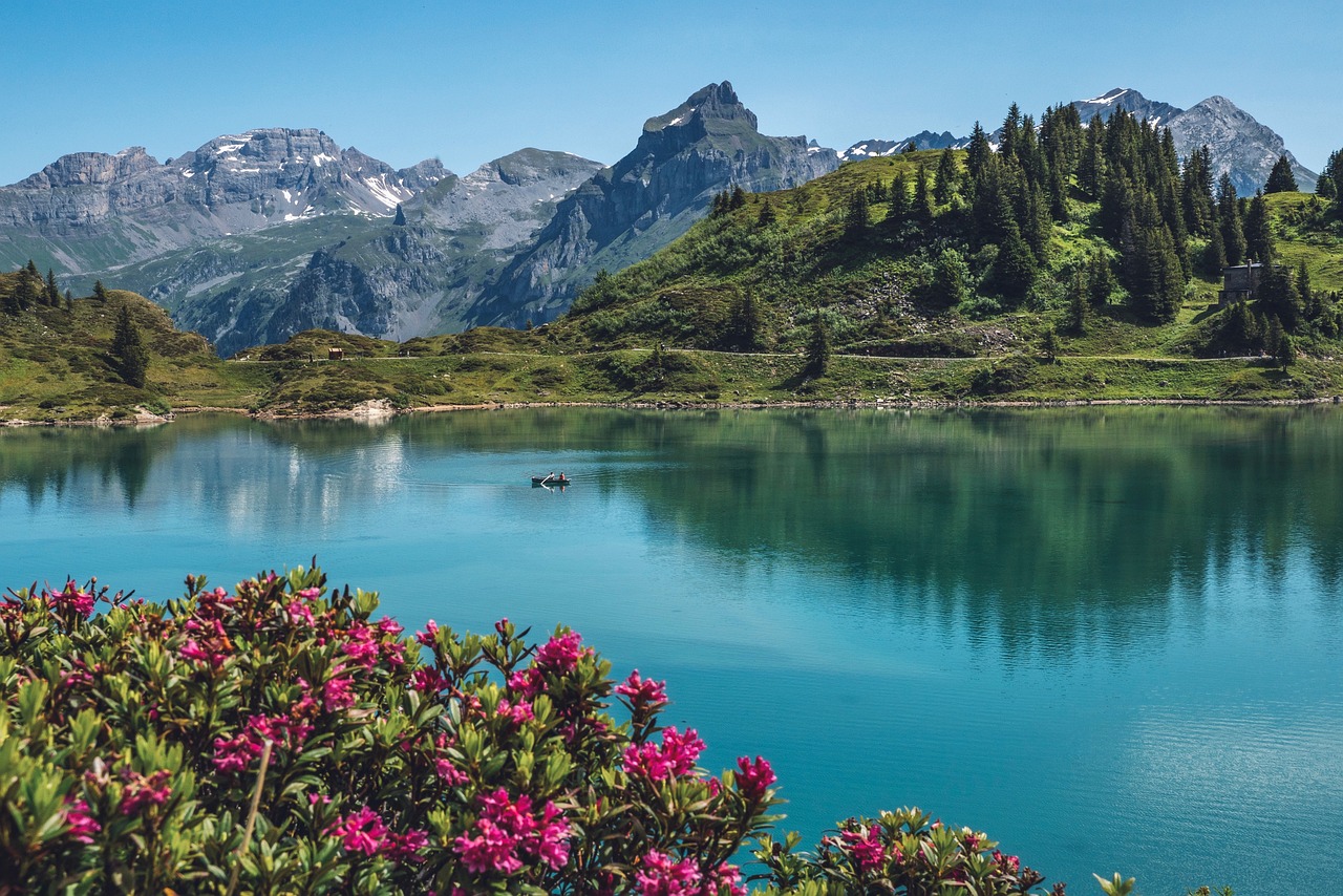 Swiss landscapes