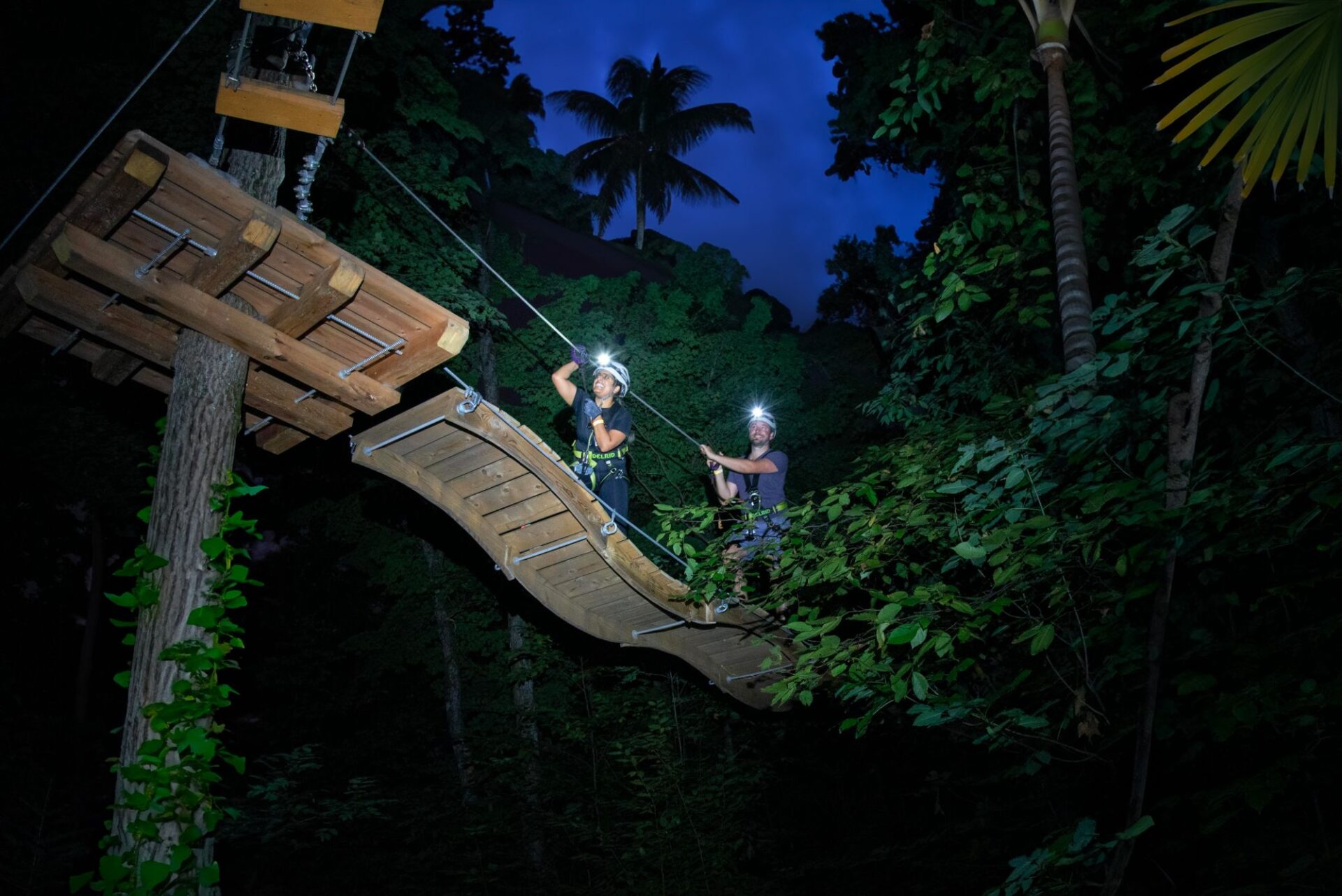 Night Trek in Miami