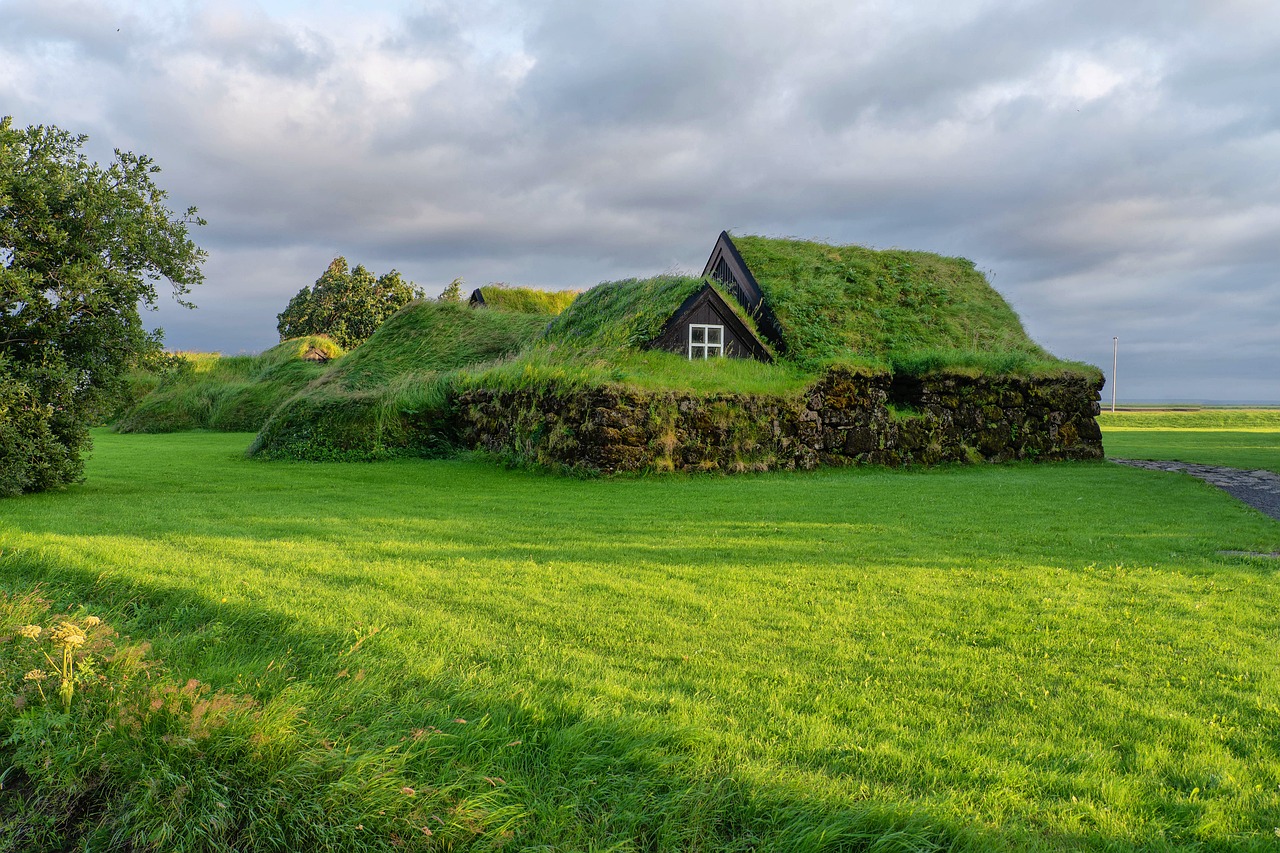 Icelandic village