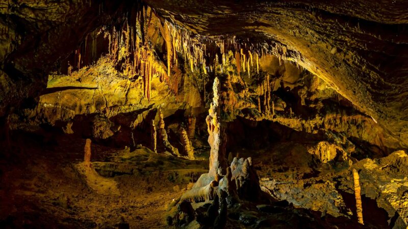 Celebrations were held when Nerja Cave reached the 66th anniversary of their discovery