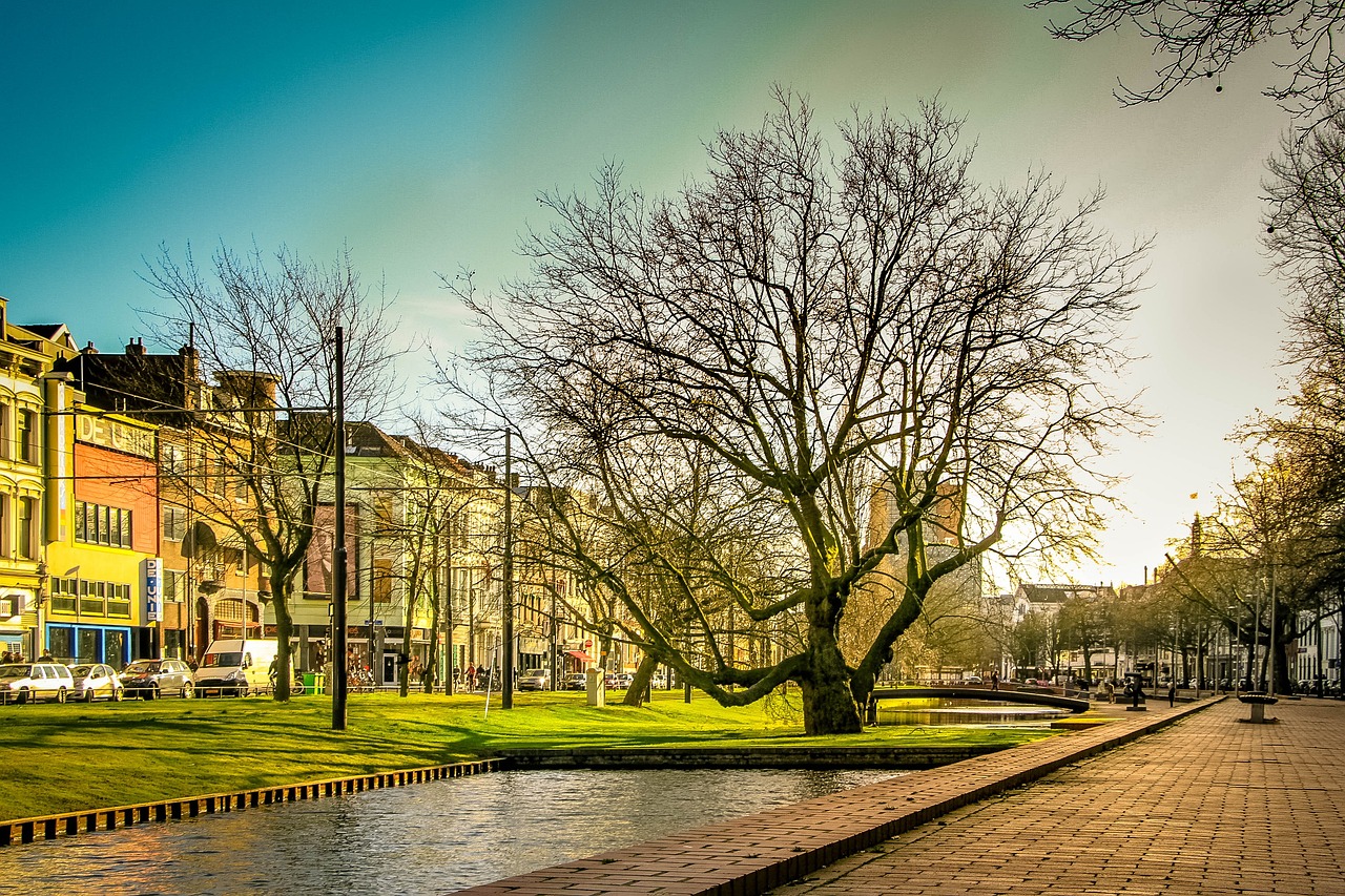 Street scene in Rotterdam