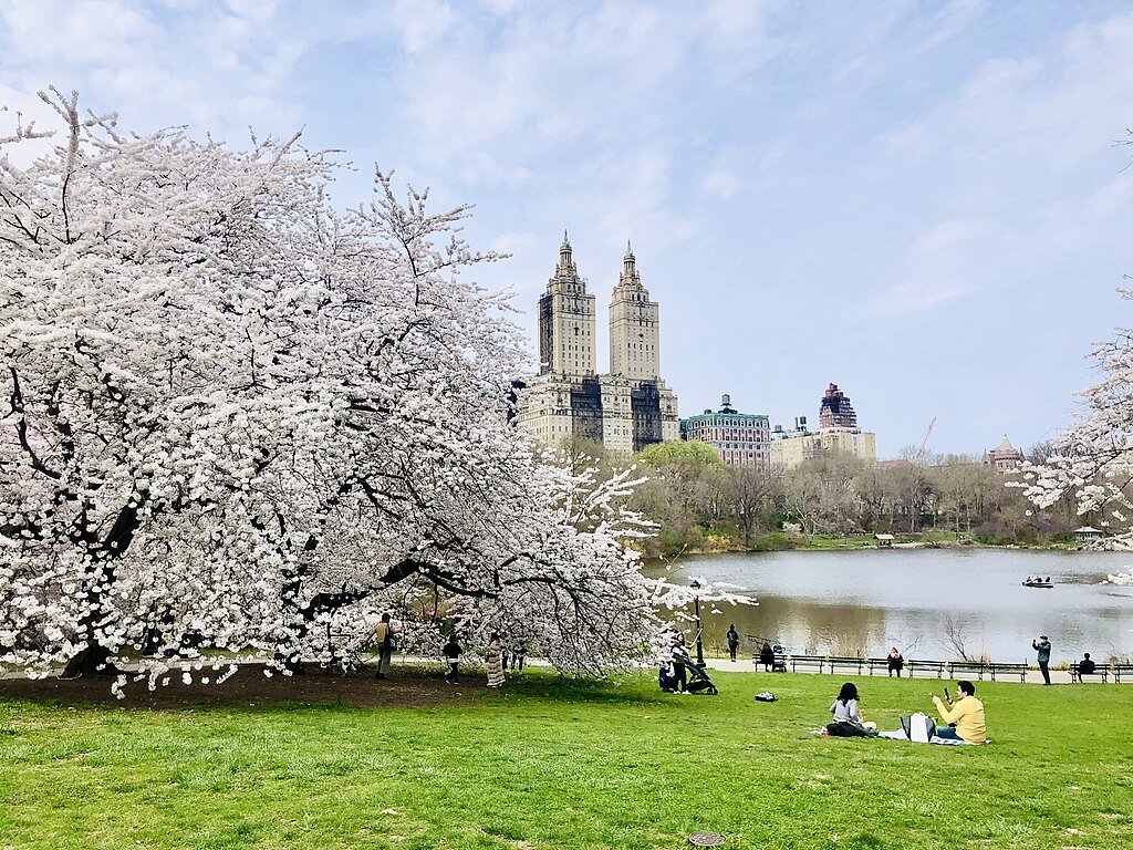 Central Park, New York City