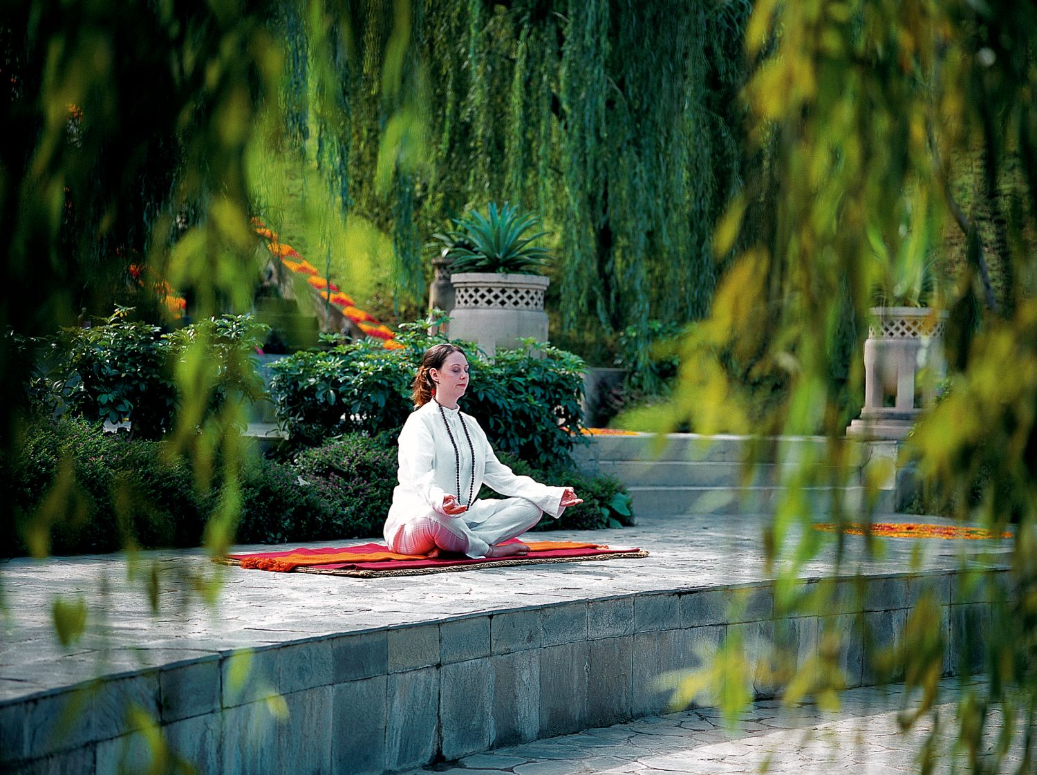 Ananda in the Himalayas meditation