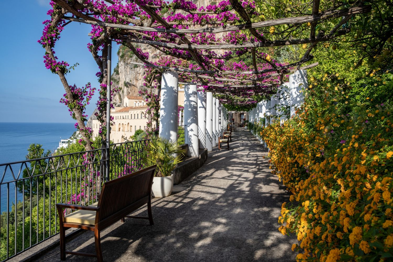 Walk of the Monks