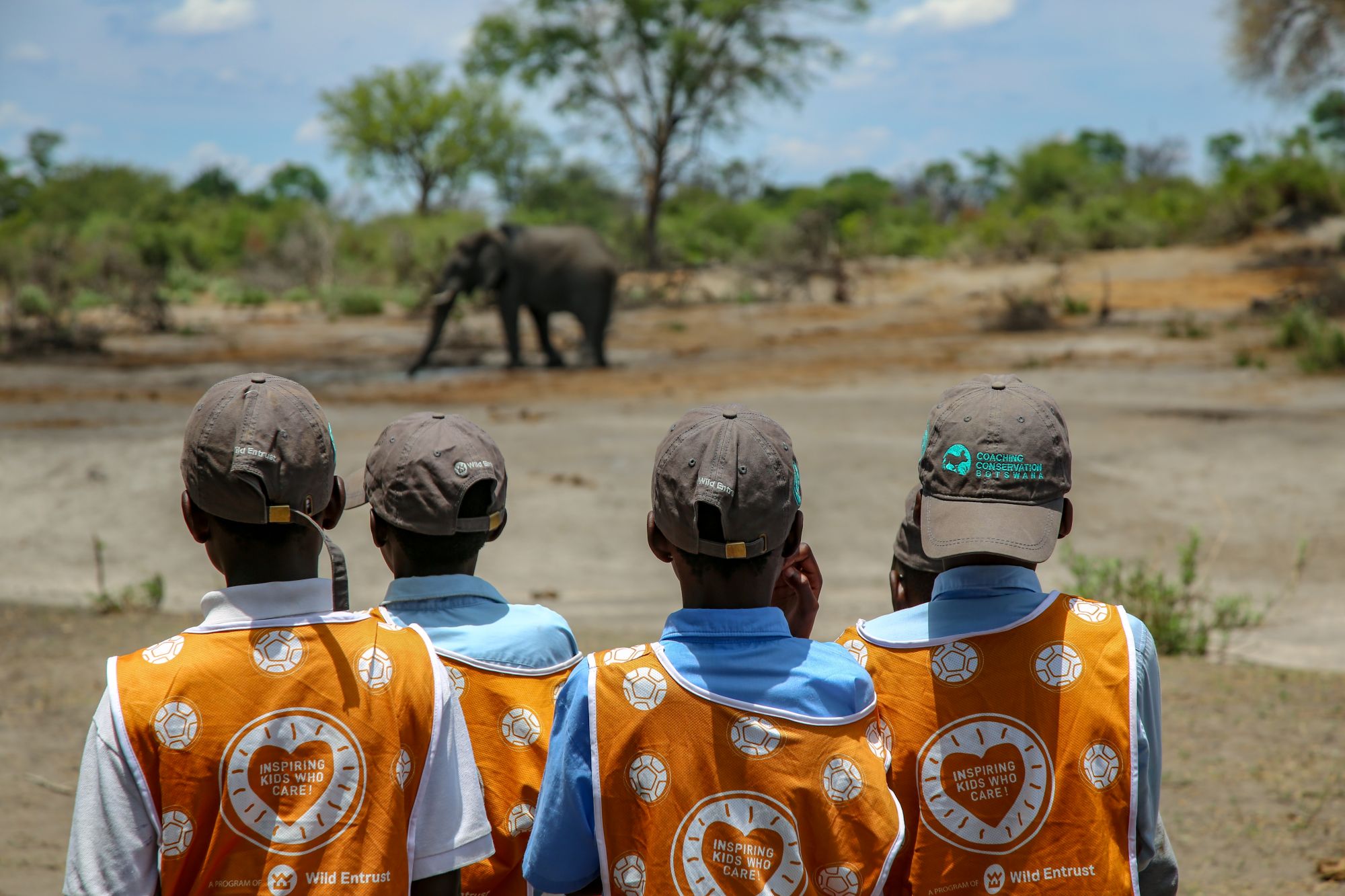 Habu students look at elephants at the waterhole