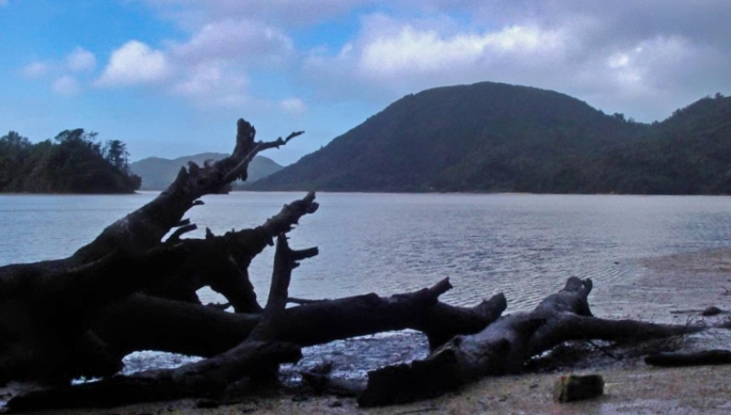 Awaroa Inlet - South Island - New Zealand - Image Credit Jane Flowers