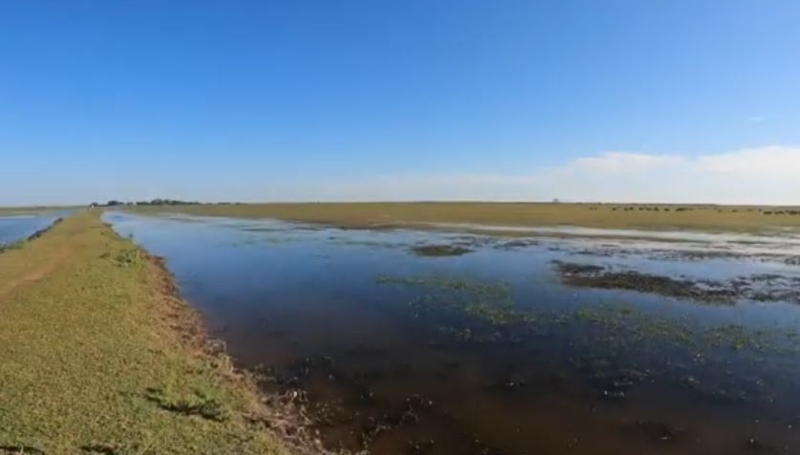 Bangweulu Wetlands - Seeking Wonder - YouTube