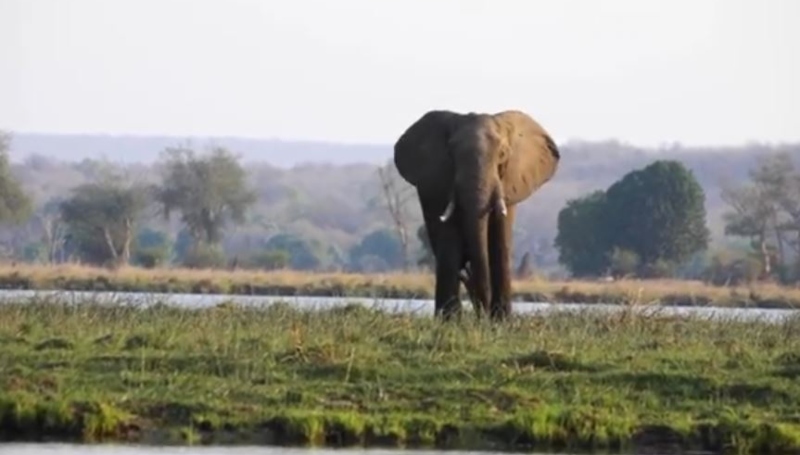The Lower Zambezi - Zambia - Chiawa Safaris - YouTube