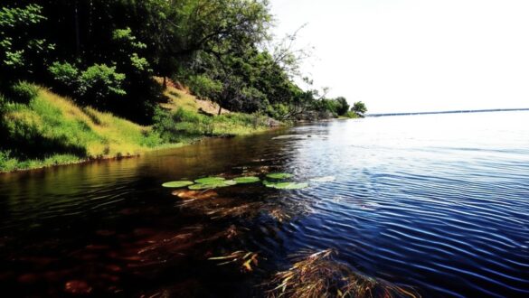 Zambia - Africa - Image Credit Jane Flowers