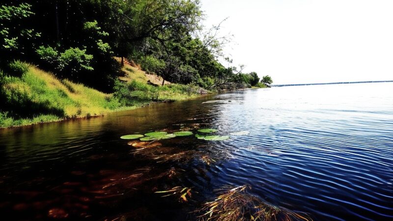Zambia - Africa - Image Credit Jane Flowers
