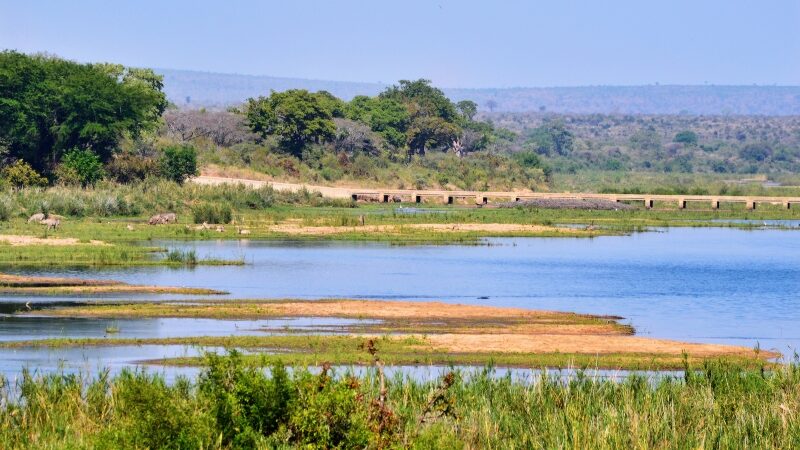 Kruger National Park view From Sabi River Camp - @J Flowers - Used with permission