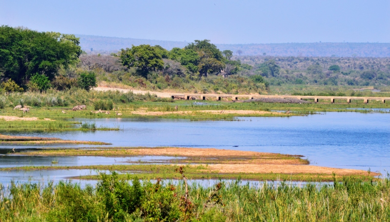 Kruger National Park view From Sabi River Camp - @J Flowers - Used with permission