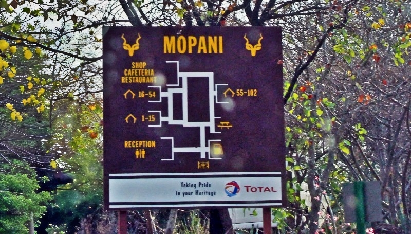 Mopani camp re-opened - Image copyright J Flowers - Used with permission