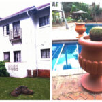 Bronte Garden Hotel Harare Zimbabwe - Images @janeFlowers