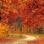 Best fall foliage destinations in the USA - Image credit Valiphotos - CCO Pixabay