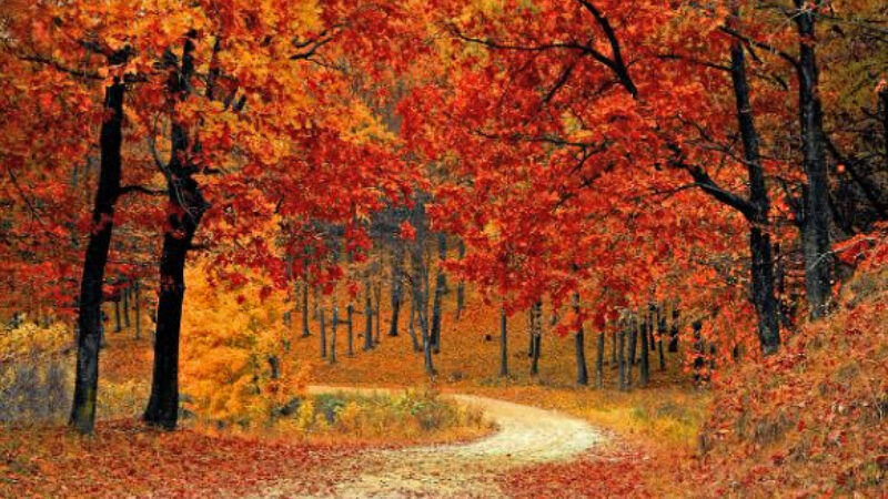 Best fall foliage destinations in the USA - Image credit Valiphotos - CCO Pixabay